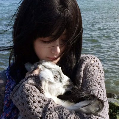 血麒麟之关东宝藏